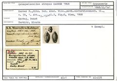 Karteikarte zum Syntyp von Quinqueloculina atropos Karrer, 1868